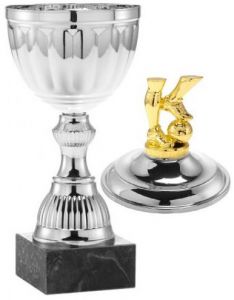 1020.037 Fussball Pokale mit Deckelfigur inkl. Beschriftung | Serie 7 Stck.