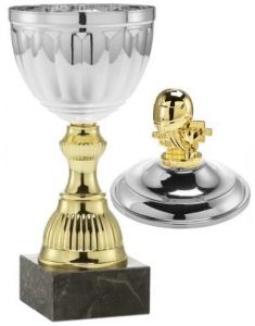 1025.026 Motorsport Pokale Detmold inkl. Beschriftung | Serie 7 Stck.
