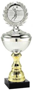 2025.238 Budgetpokal - Volleyball Herren inkl. Beschriftung | 24,0 cm