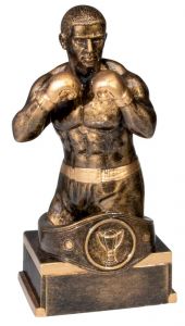39733 Box-Champion Pokalfigur inkl. Beschriftung | 18,0 cm