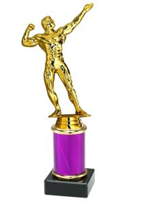 9.154.34079 Bodybuilding Pokal Trophäe inkl. Beschriftung | Serie 3 Stck.