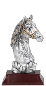 FG351 Pferdekopf - Reitsport Kunstharzfigur inkl. Beschriftung | 21,0 cm