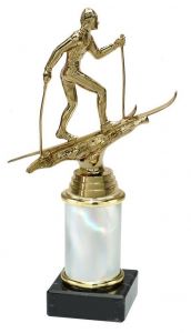 9.02.34538 Langlauf Pokal Trophäe inkl. Beschriftung | 22,4 cm