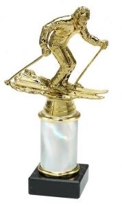 9.02.34544 Ski Alpin Pokal Trophäe inkl. Beschriftung | 20,2 cm