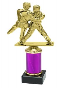9.154.34258 Judo Pokal Trophäe inkl. Beschriftung | 3 Größen