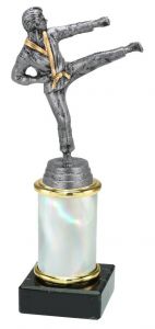9.02.34280 Karate Pokal Trophäe inkl. Beschriftung | 20,9 cm
