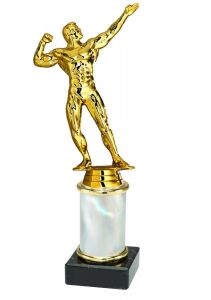 9.02.34079 Bodybuilding Pokal Trophäe inkl. Beschriftung | Serie 3 Stck.