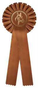 R100.BR Turnier-Schleifen | 115 x 310 mm
