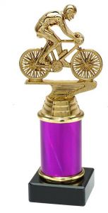9.154.34368 Radsport Pokal Trophäe inkl. Beschriftung | 18,4 cm