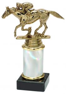 9.02.34374 Galopprennsport Pokal Trophäe inkl. Beschriftung | 17,3 cm