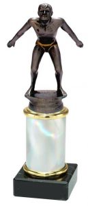 9.02.34456 Schwimmer - Herren Pokal Trophäe inkl. Beschriftung | 19,2 cm