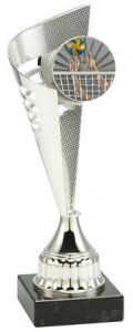BL.006.007 Volleyball Pokal Aschaffenburg inkl. Beschriftung | Serie 3 Stck.