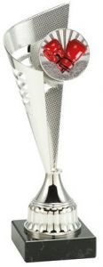 BL.006.078 Box - Boxsport Pokal Rastatt inkl. Beschriftung | Serie 3 Stck.