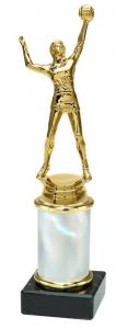 9.02.34634 Volleyball (Herren) Pokal Trophäe inkl. Beschriftung | 24,1 cm