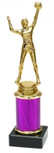9.154.34634  Volleyball (Herren) Pokal Trophäe inkl. Beschriftung | 24,1 cm