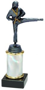 9.02.34282 Karate (Damen) Pokal Trophäe inkl. Beschriftung | 20,9 cm